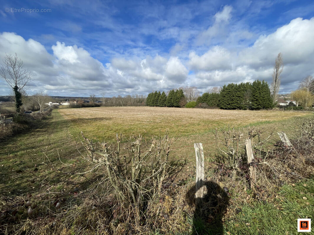 Terrain à THIERS