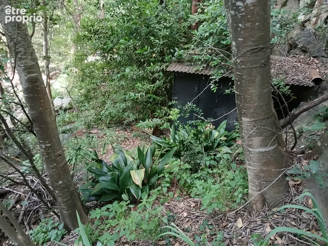 Mas en pierre à Reynes - photo 33