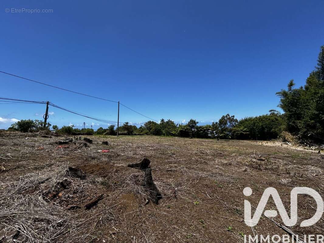 Photo 5 - Terrain à SAINT-JOSEPH