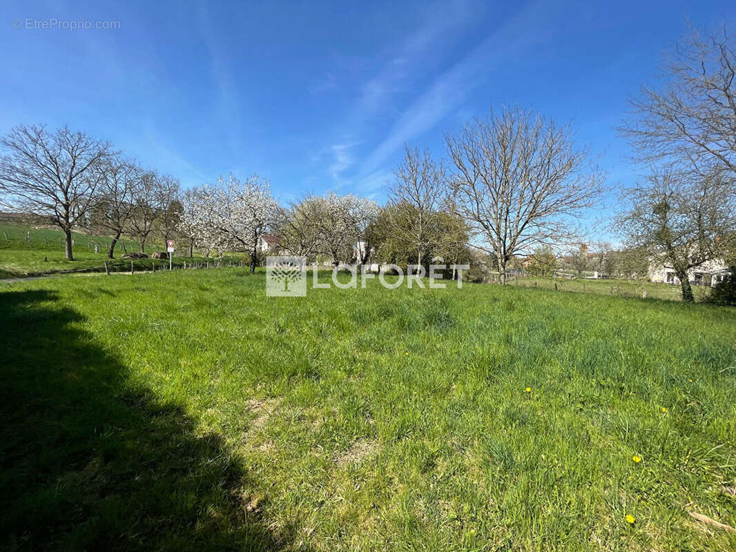 Terrain à VELESMES-ECHEVANNE