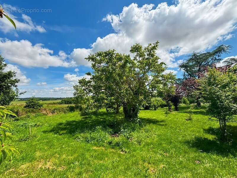 Maison à LAGRAULET-DU-GERS