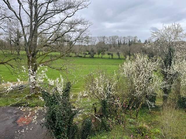 Charmante ferme en pierre avec dépendances et plus de 6 hectares de terrain - idéale pour les passionnés d'équitation - photo 16