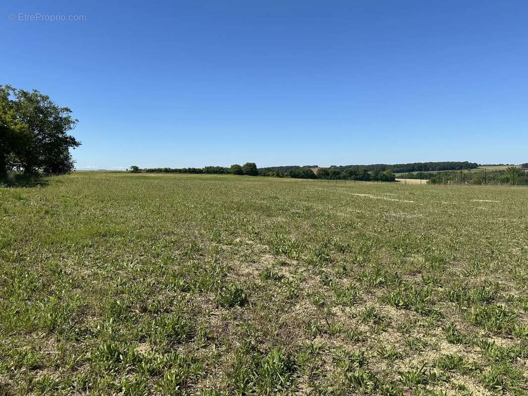 Terrain à SAINT-CLAR