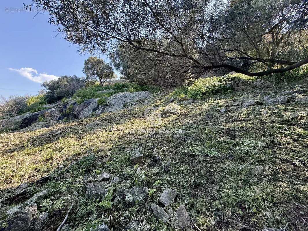 Terrain à MONTICELLO