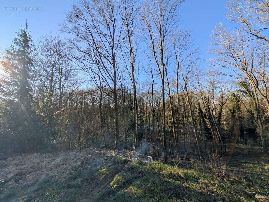 Maison à BOUSSY-SAINT-ANTOINE