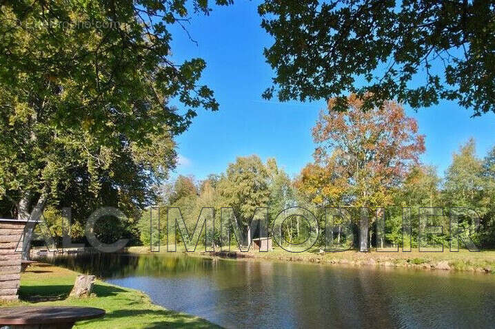 Terrain à TINCHEBRAY