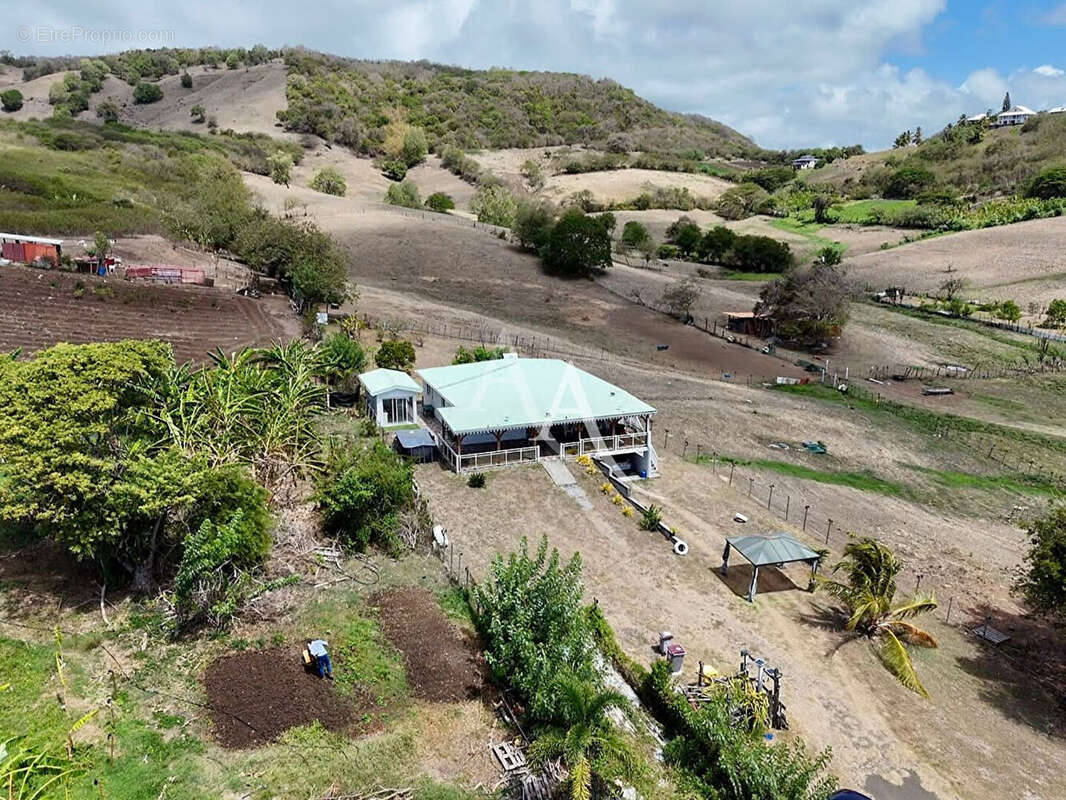 En EXCLUSIVITE: maison T4 + dépendance avec piscine au VAUCLIN. - photo 2