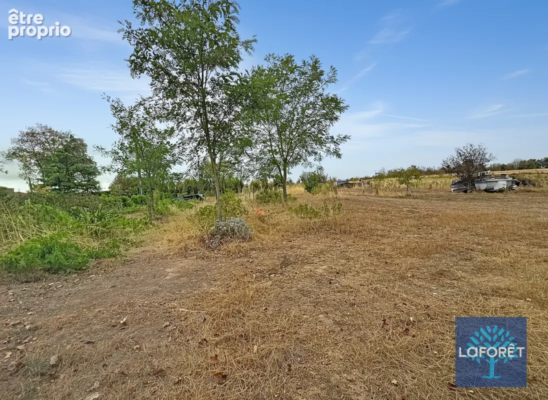 Terrain Sainte Florence 5015 m² - photo 8