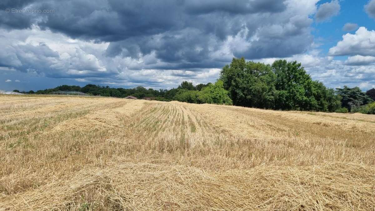 Terrain à Cendrieux - photo 2