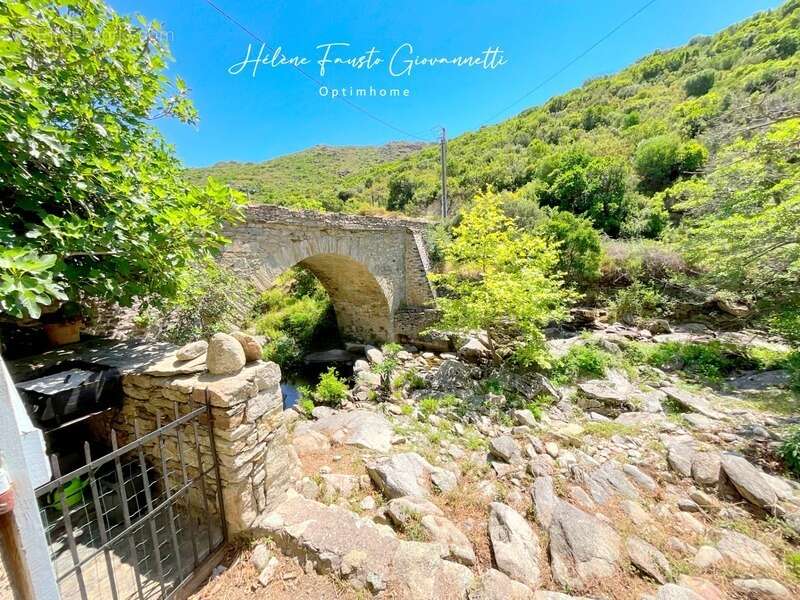 Ancien Moulin en Pierre avec dépendances sur près de 2,3 hectares – Santo-Pietro-di-Tenda - photo 36