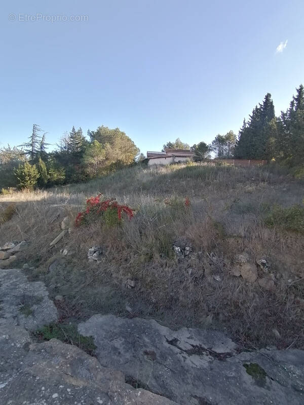 Terrain à RIBAUTE