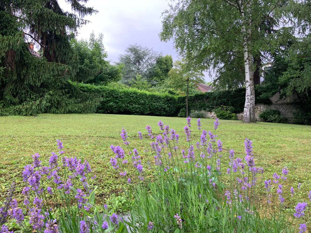 Maison à VILLENNES-SUR-SEINE