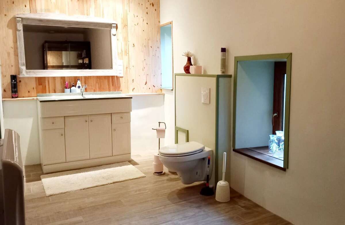 Maison à SAINT-BASLEMONT