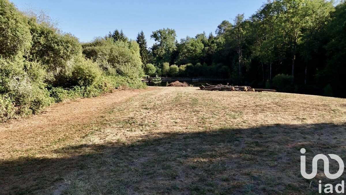 Terrain 11902 m² à Saint-Estephe  - photo 7