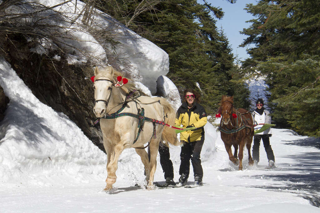 Commerce à SELONNET