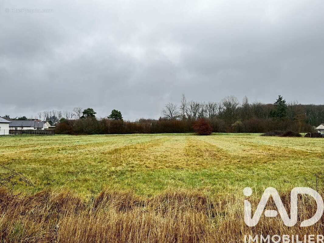 Photo 2 - Terrain à ROMORANTIN-LANTHENAY