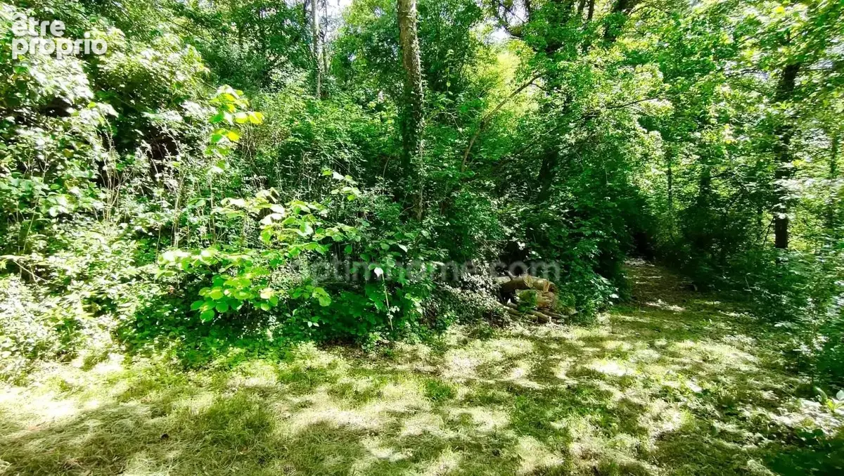 Terrain à bâtir avec permis purgé et transférable – NEUFCHÂTEAU (88) – 12.97 ares - photo 7