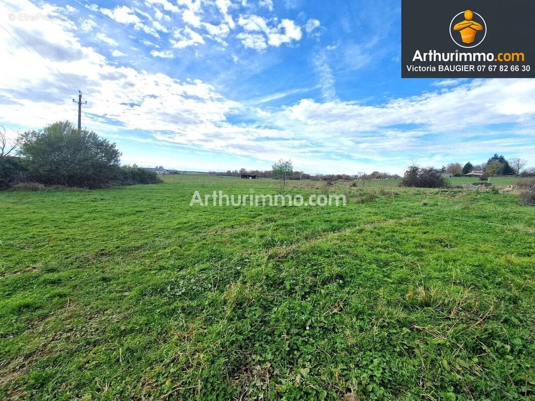 Terrain à COURLANS