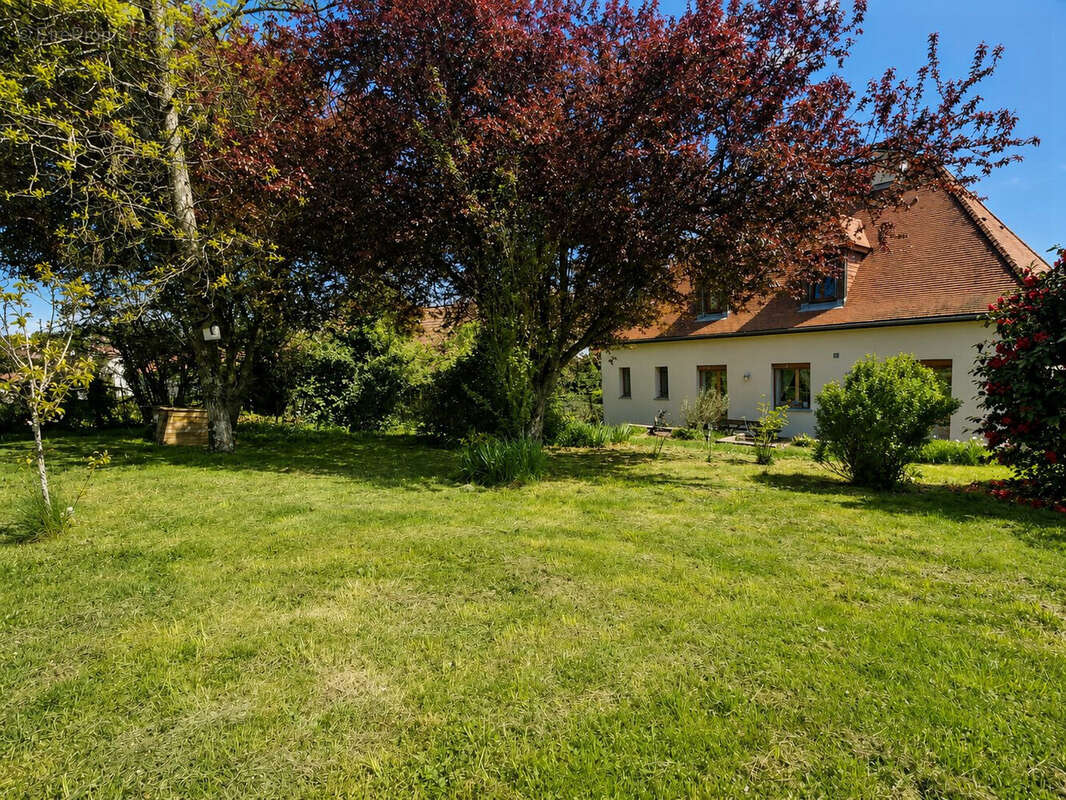 Maison 157 m² à La Souterraine  - photo 3