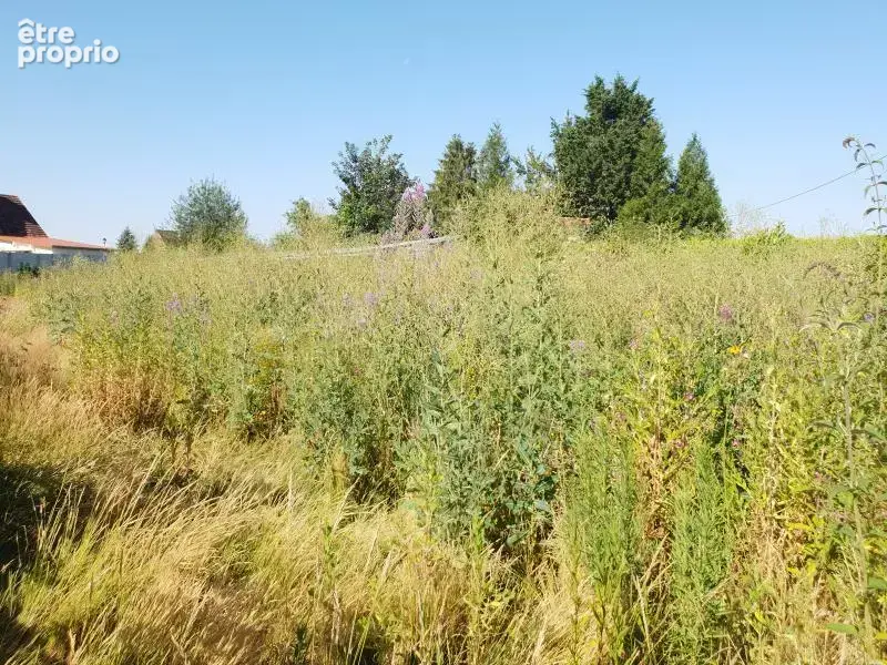 Photo Terrain à Crevecoeur-Le-Grand au prix de 44 000€