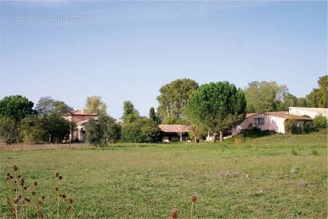  Propriété d’exception avec installations équestres – Alpilles, Provence - photo 5