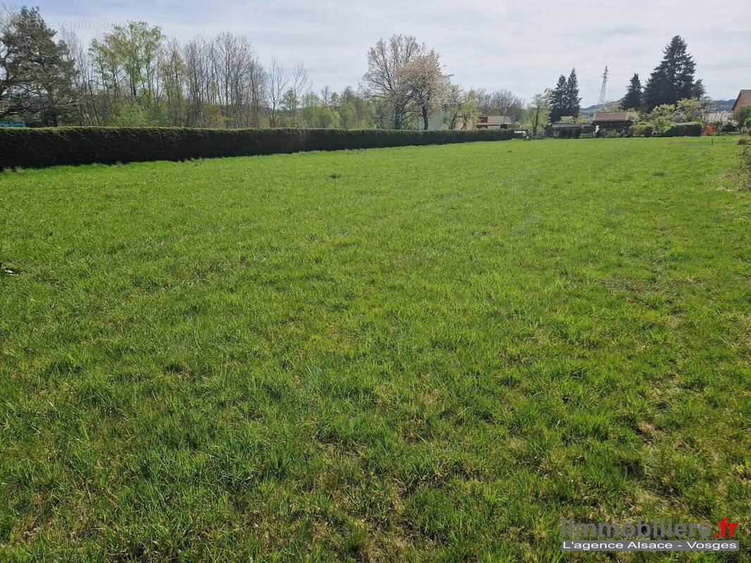 Terrain à CORCIEUX