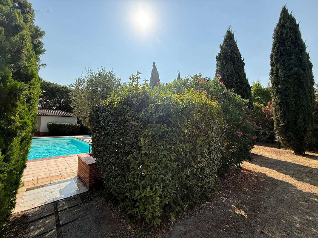 Appartement 40m² à toulouse - photo 11