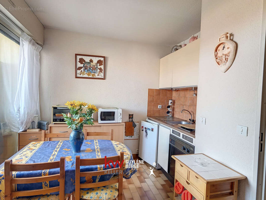 AGDE : STUDIO Cabine 1 pièce (19,27 m2) à vendre - photo 2
