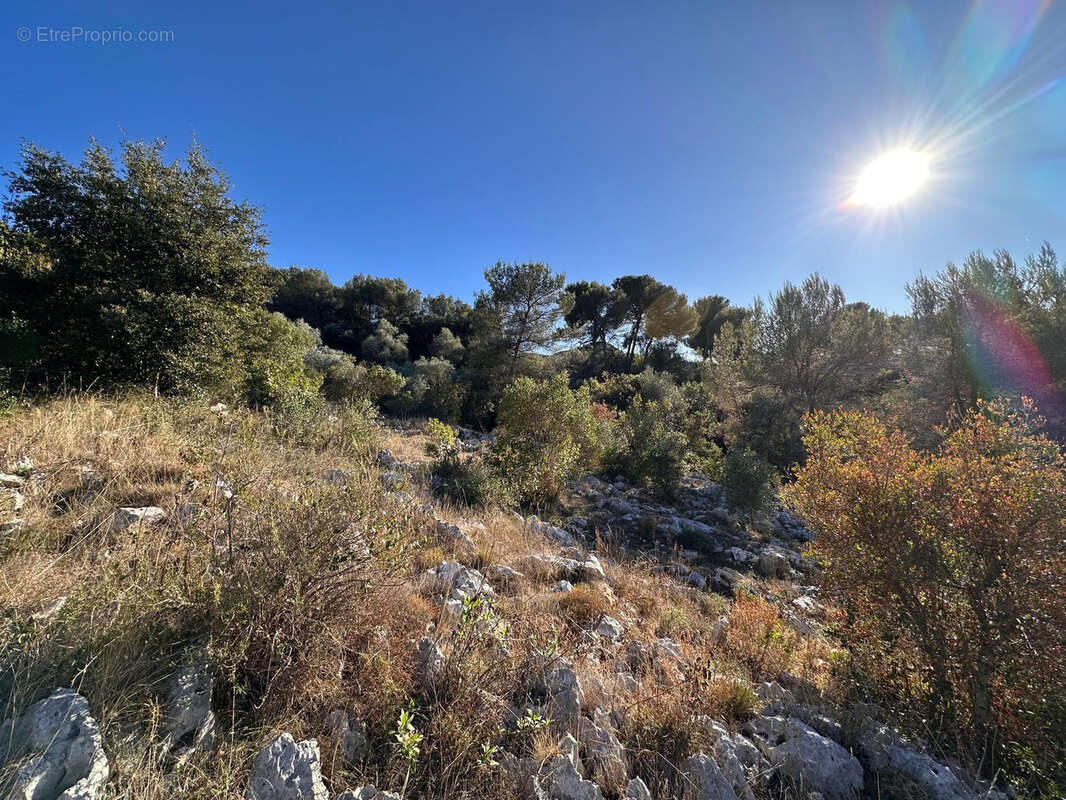 Terrain à DRAP