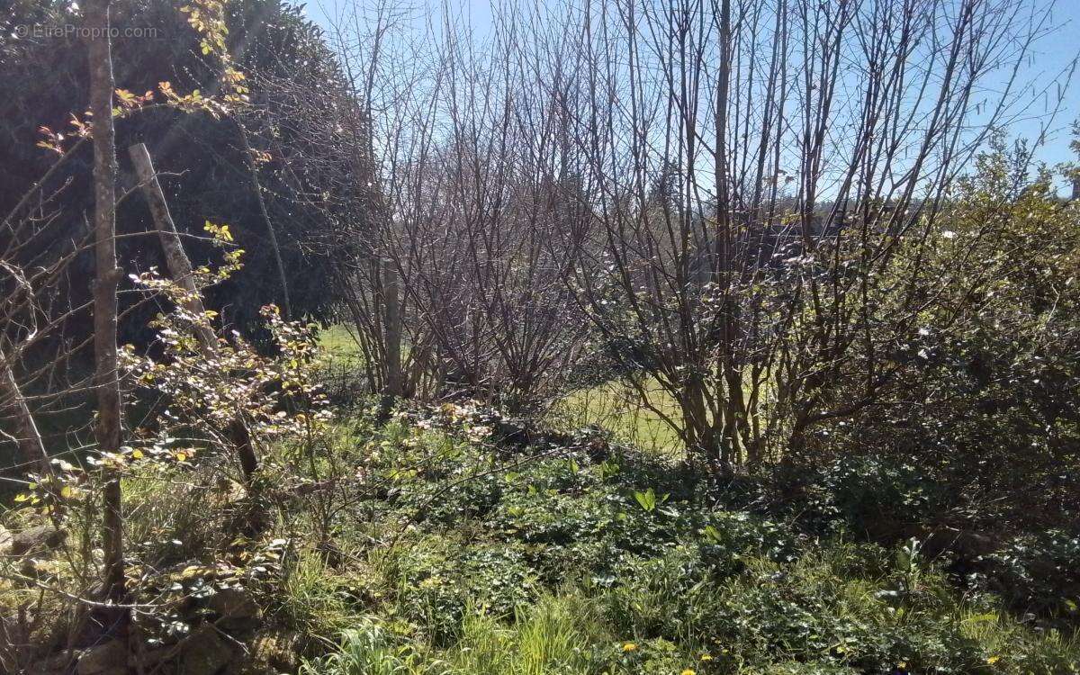 Maison à GUEMENE-SUR-SCORFF