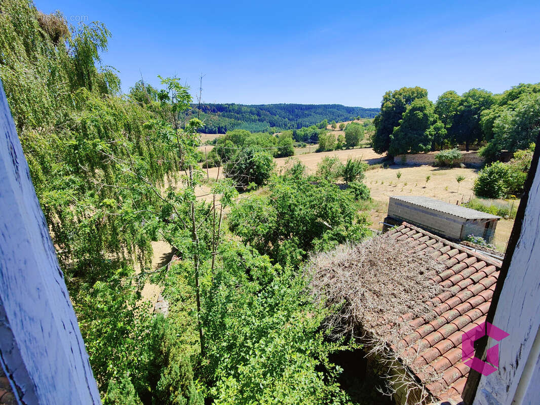 Maison de maître Champagnac-le-Vieux - photo 4