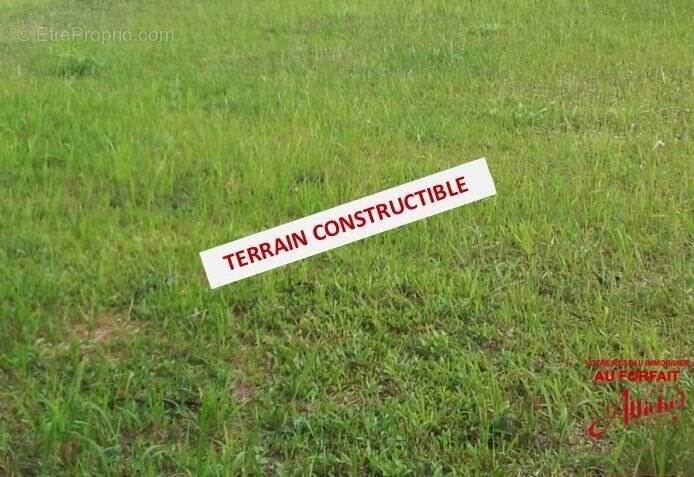 Terrain à PORTEL-DES-CORBIERES