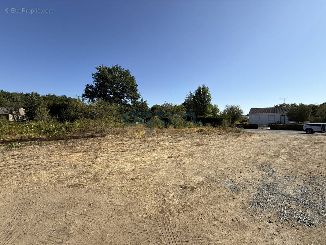 Terrain à MONTAIGU