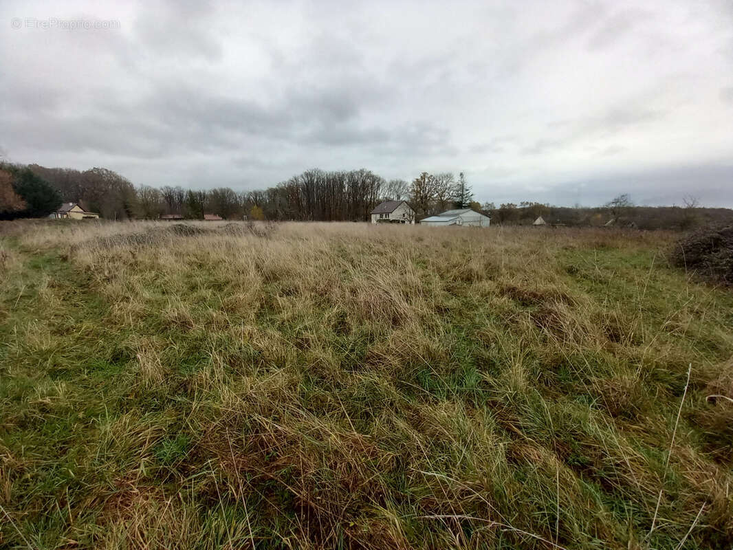Maison à SOUGY-SUR-LOIRE