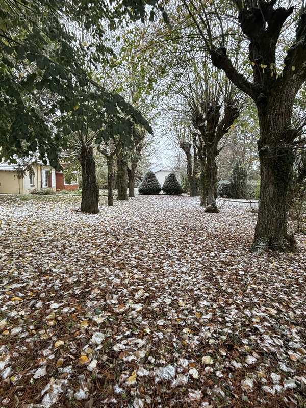 Maison à BONNY-SUR-LOIRE