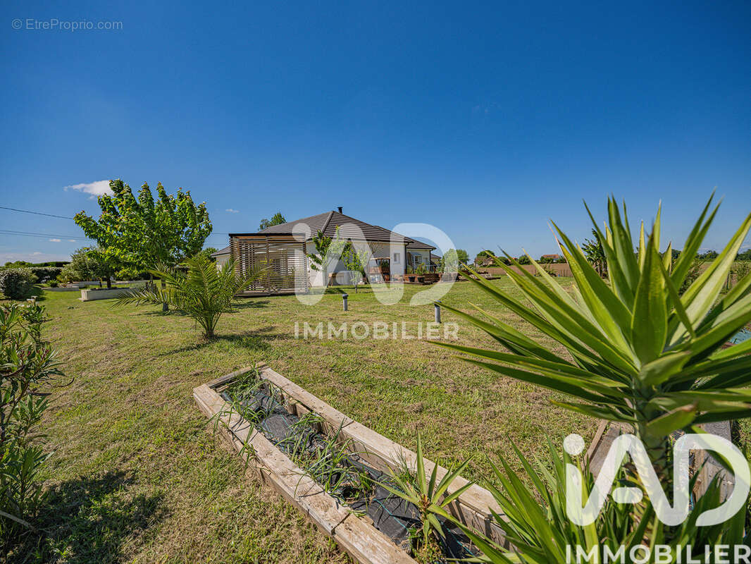 Photo 6 - Maison à ARZACQ-ARRAZIGUET