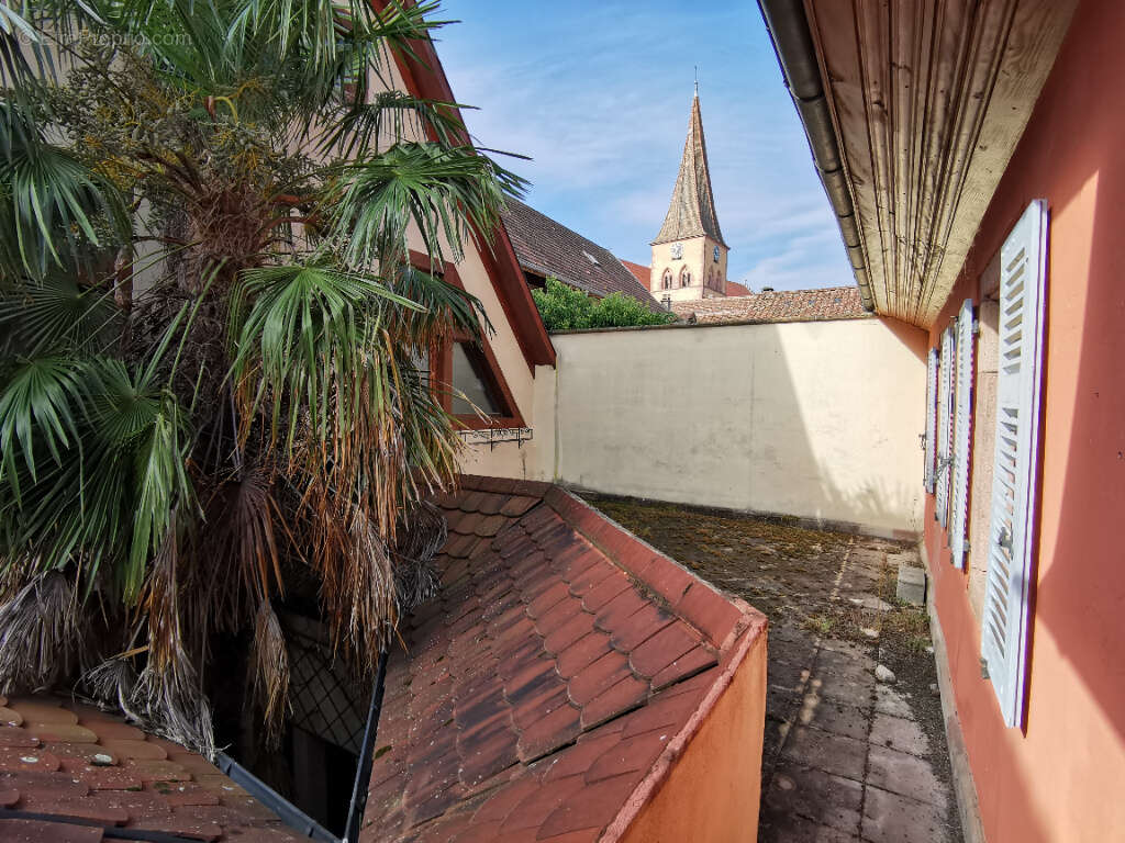 Appartement à NIEDERMORSCHWIHR