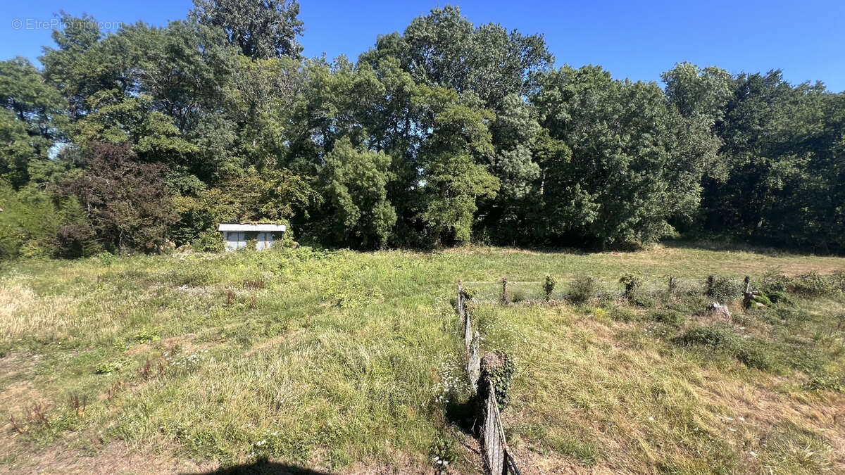 St Sulpice et Cameyrac- Propriété à rénover 300 m2 hab+ Grange sur 5 hectares - photo 3