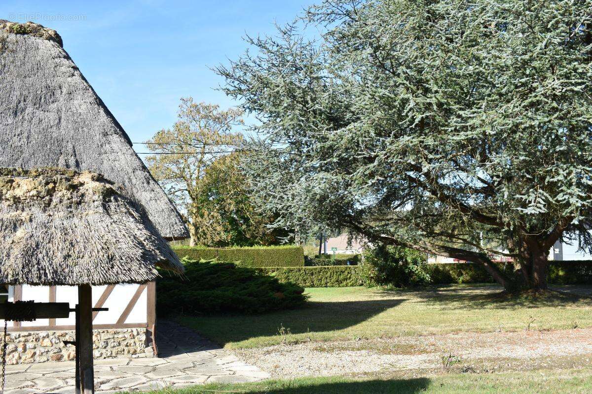 Maison à GLOS-SUR-RISLE