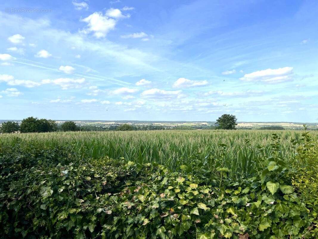 Maison à RILLY-SUR-VIENNE