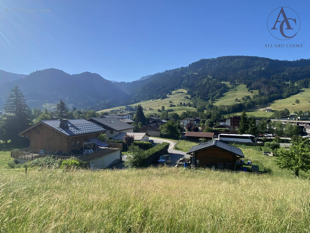 Terrain à PRAZ-SUR-ARLY