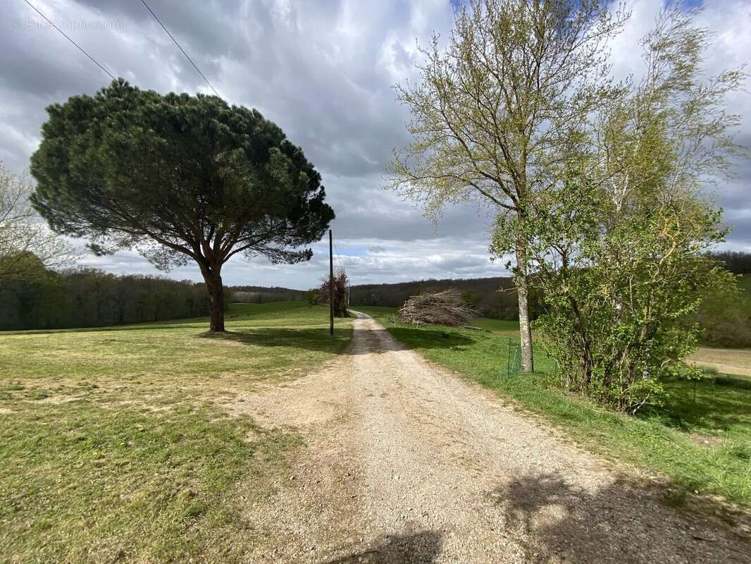 Propriété dans le Tarn et Garonne - photo 28