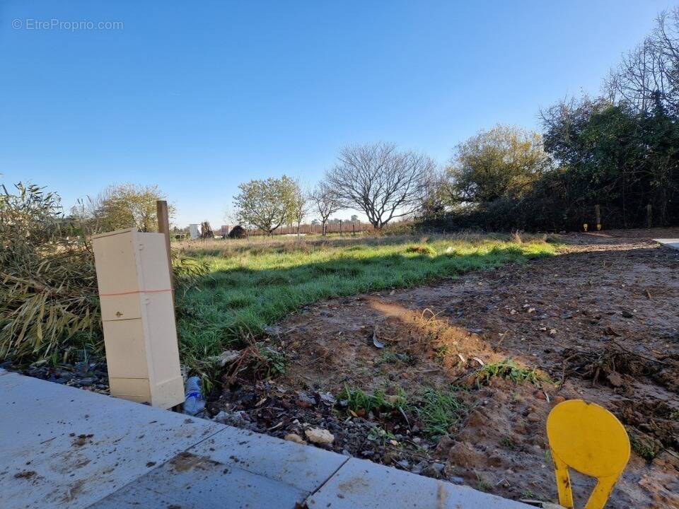 Terrain à SAINT-SULPICE-ET-CAMEYRAC