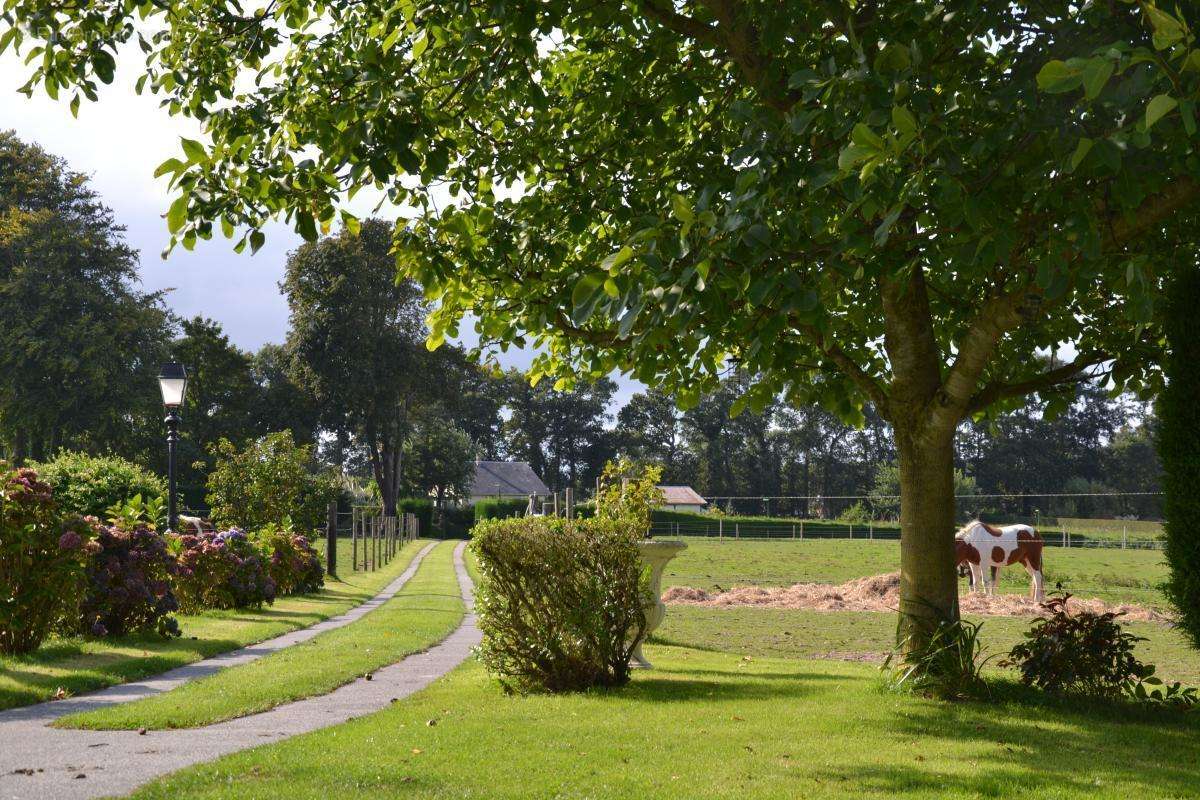 Maison à BLOSSEVILLE