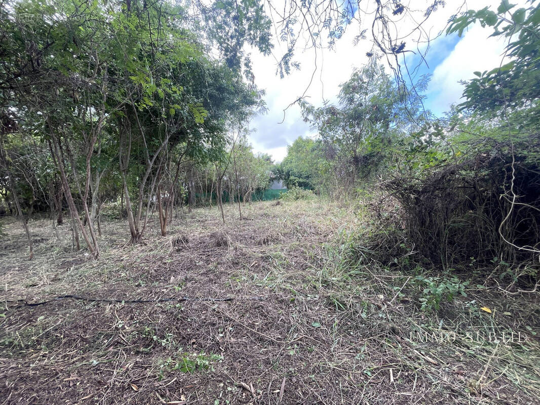 Terrain à SAINT-FRANCOIS