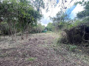 Terrain à SAINT-FRANCOIS