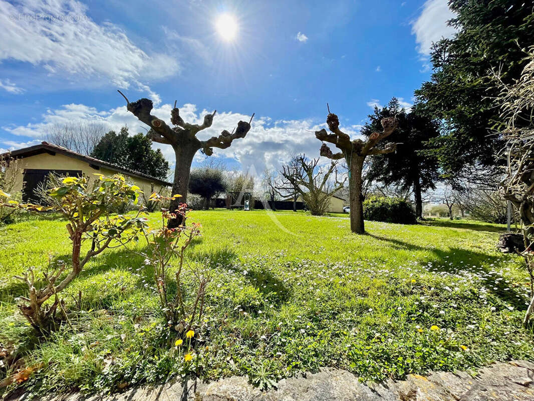Maison à L&#039;ISLE-JOURDAIN