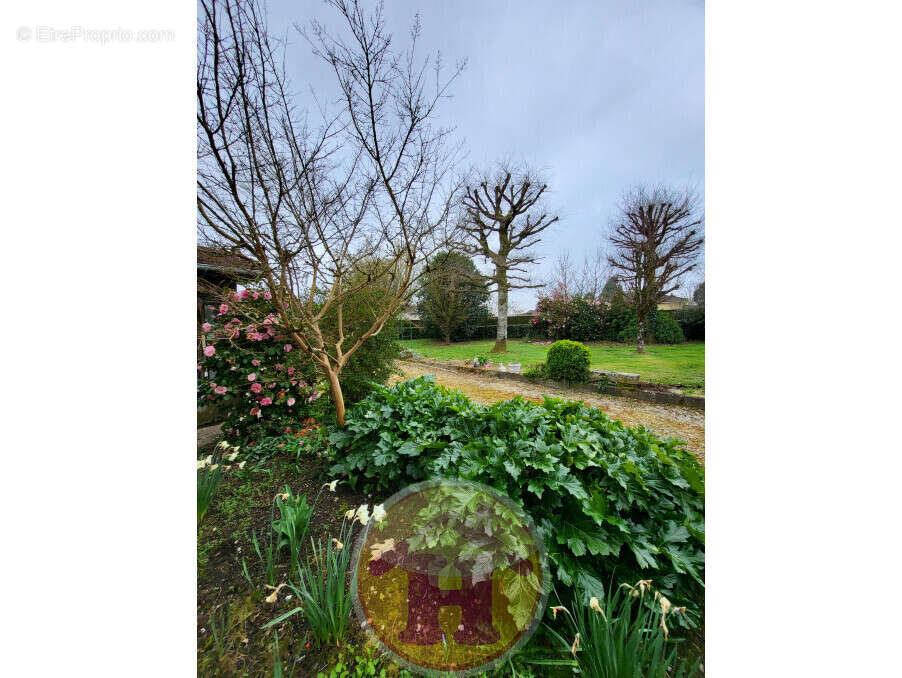 Maison à SAINT-JUNIEN