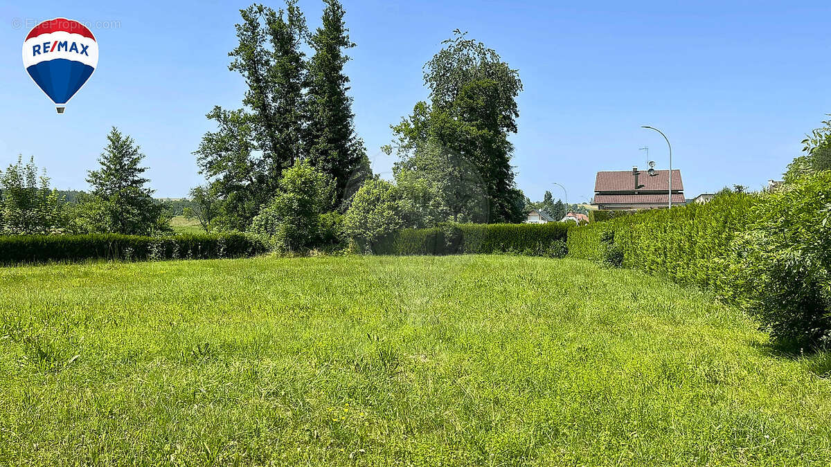 Terrain à NEUWILLER