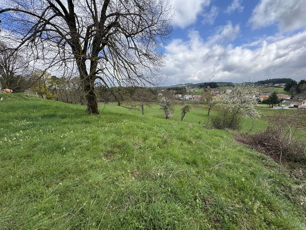 Terrain à LAPTE